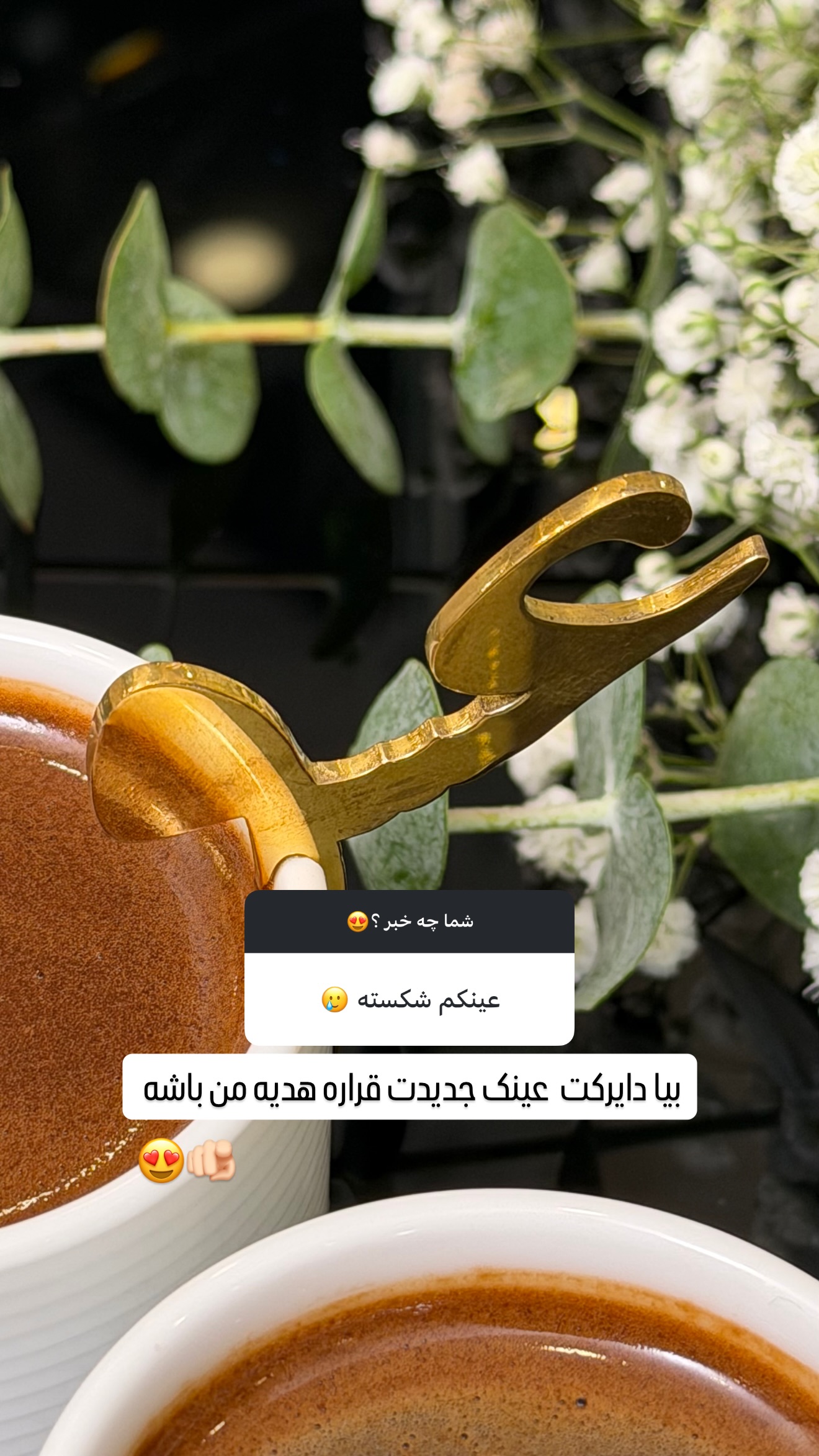  جدید ترین استوری اینستاگرام شیوا نصرتی