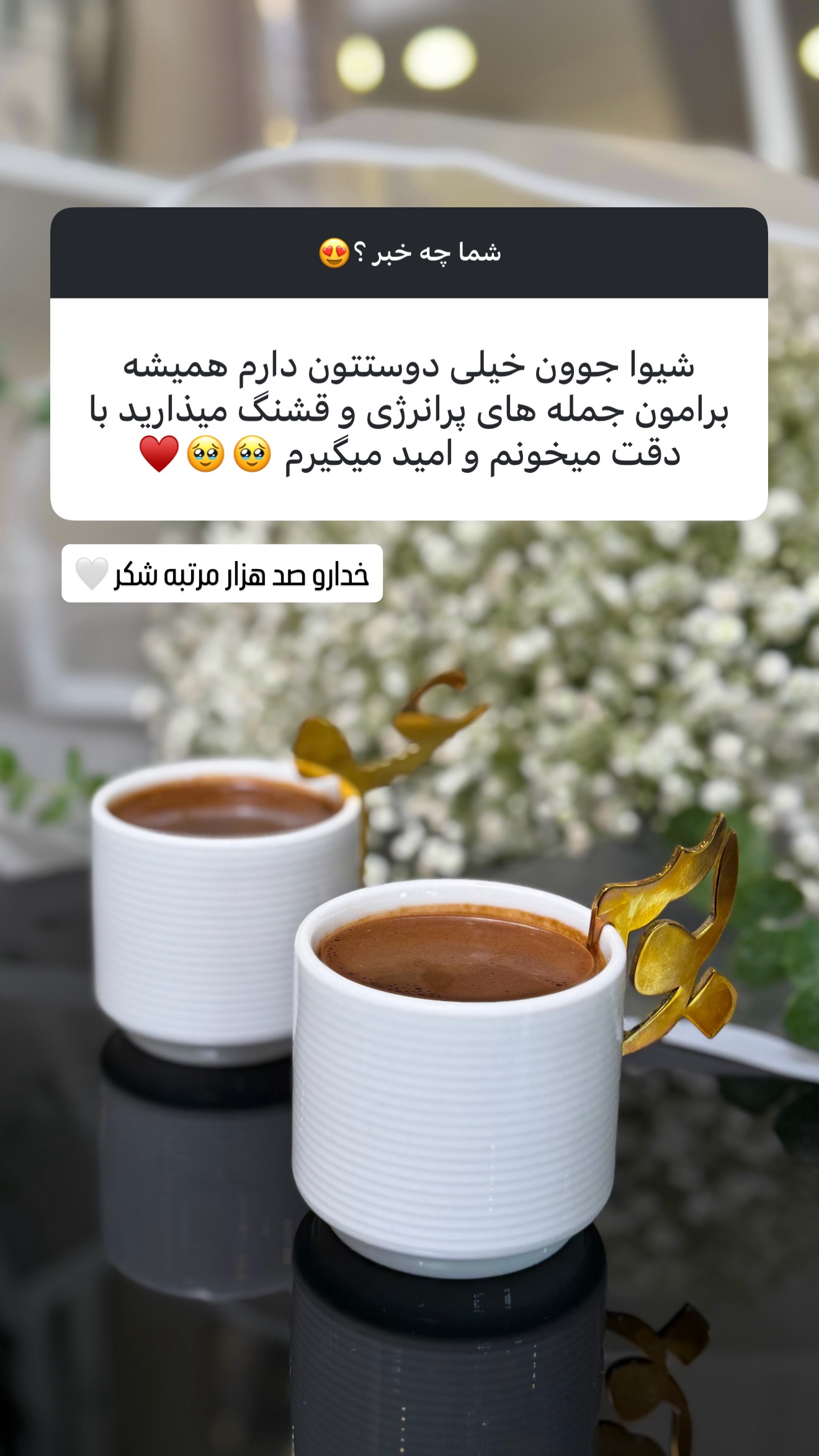  جدید ترین استوری اینستاگرام شیوا نصرتی