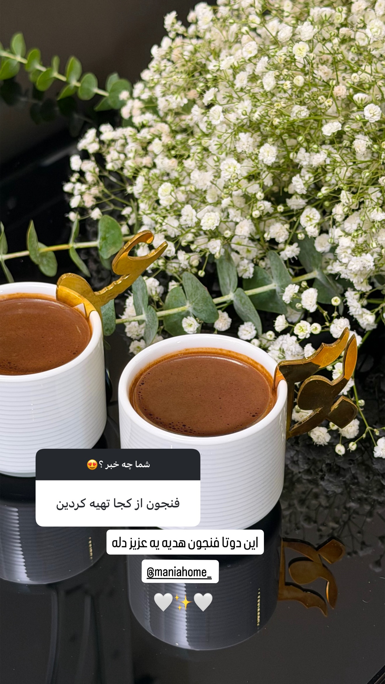  جدید ترین استوری اینستاگرام شیوا نصرتی