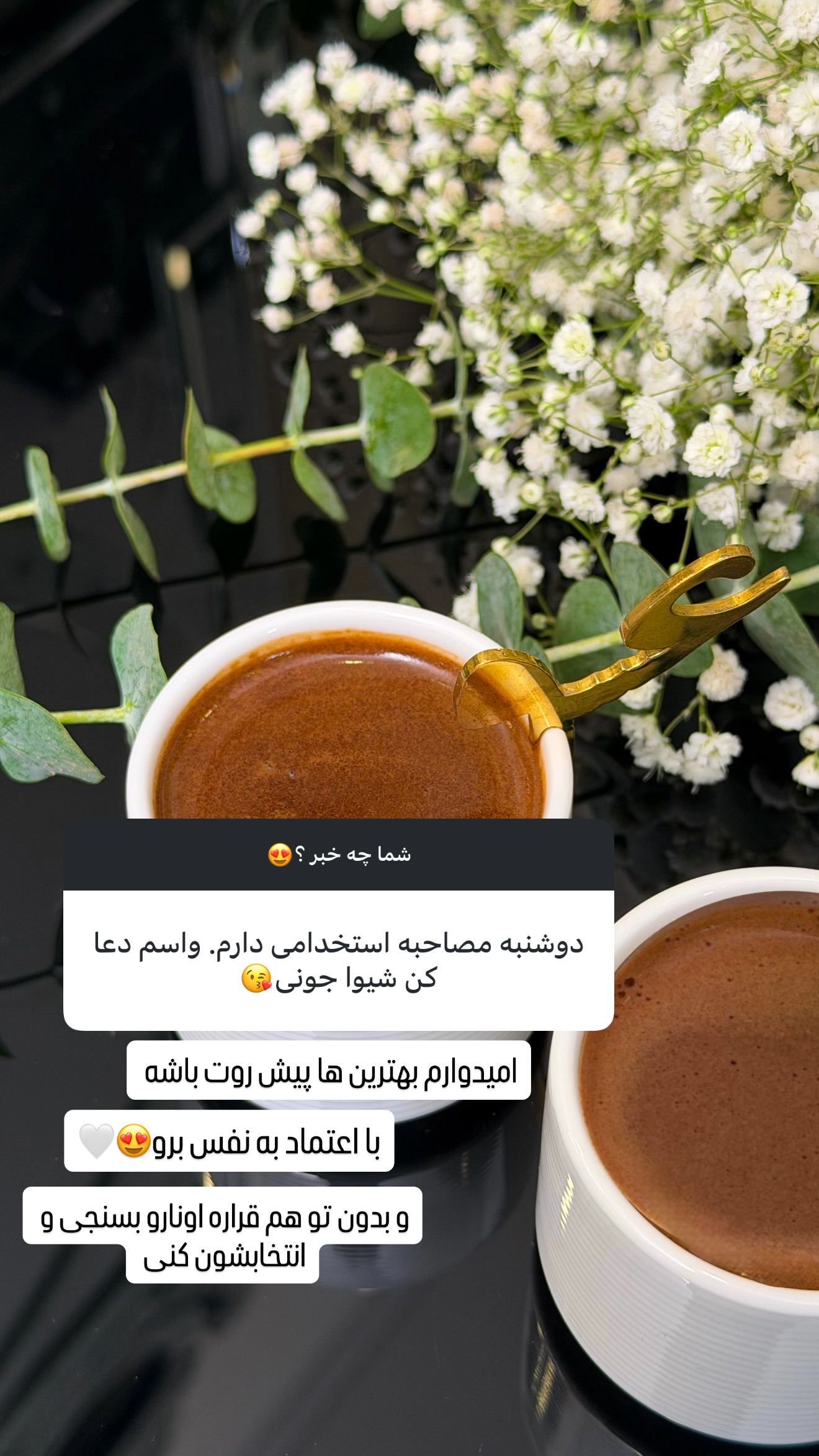  جدید ترین استوری اینستاگرام شیوا نصرتی