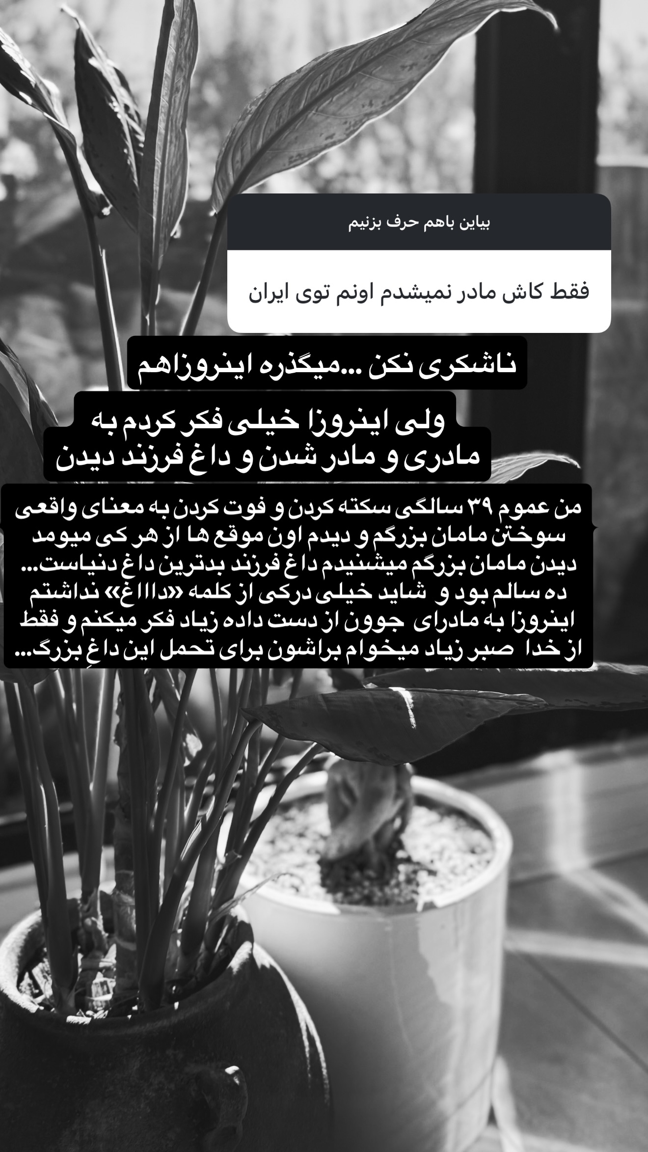  جدید ترین استوری اینستاگرام شیوا نصرتی