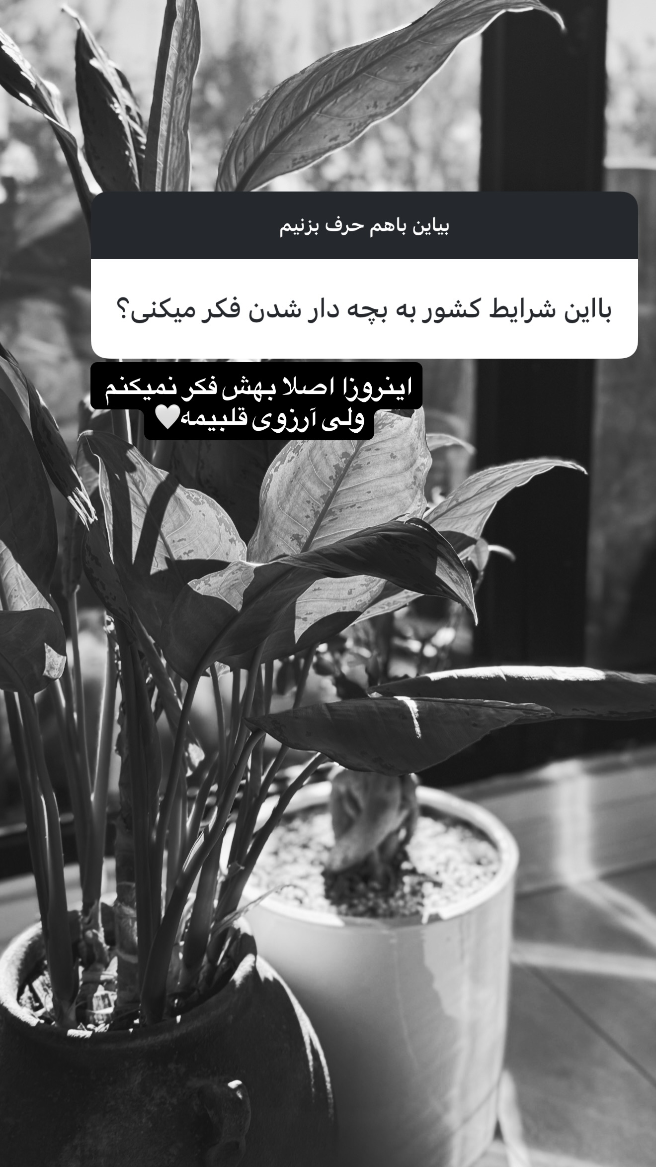  جدید ترین استوری اینستاگرام شیوا نصرتی