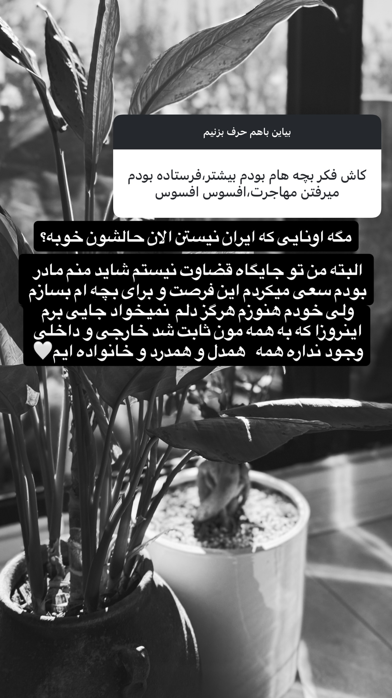  جدید ترین استوری اینستاگرام شیوا نصرتی