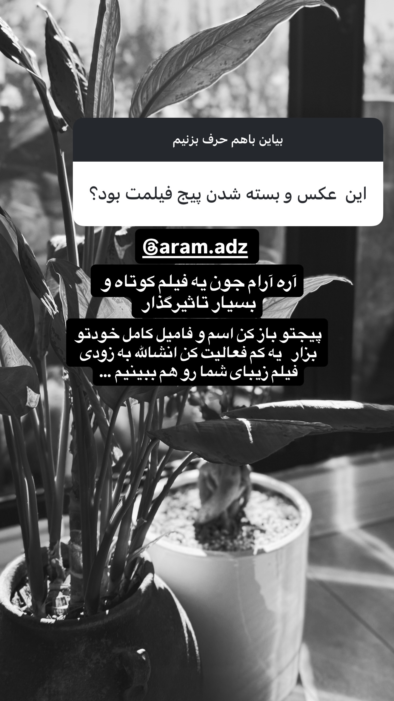  جدید ترین استوری اینستاگرام شیوا نصرتی