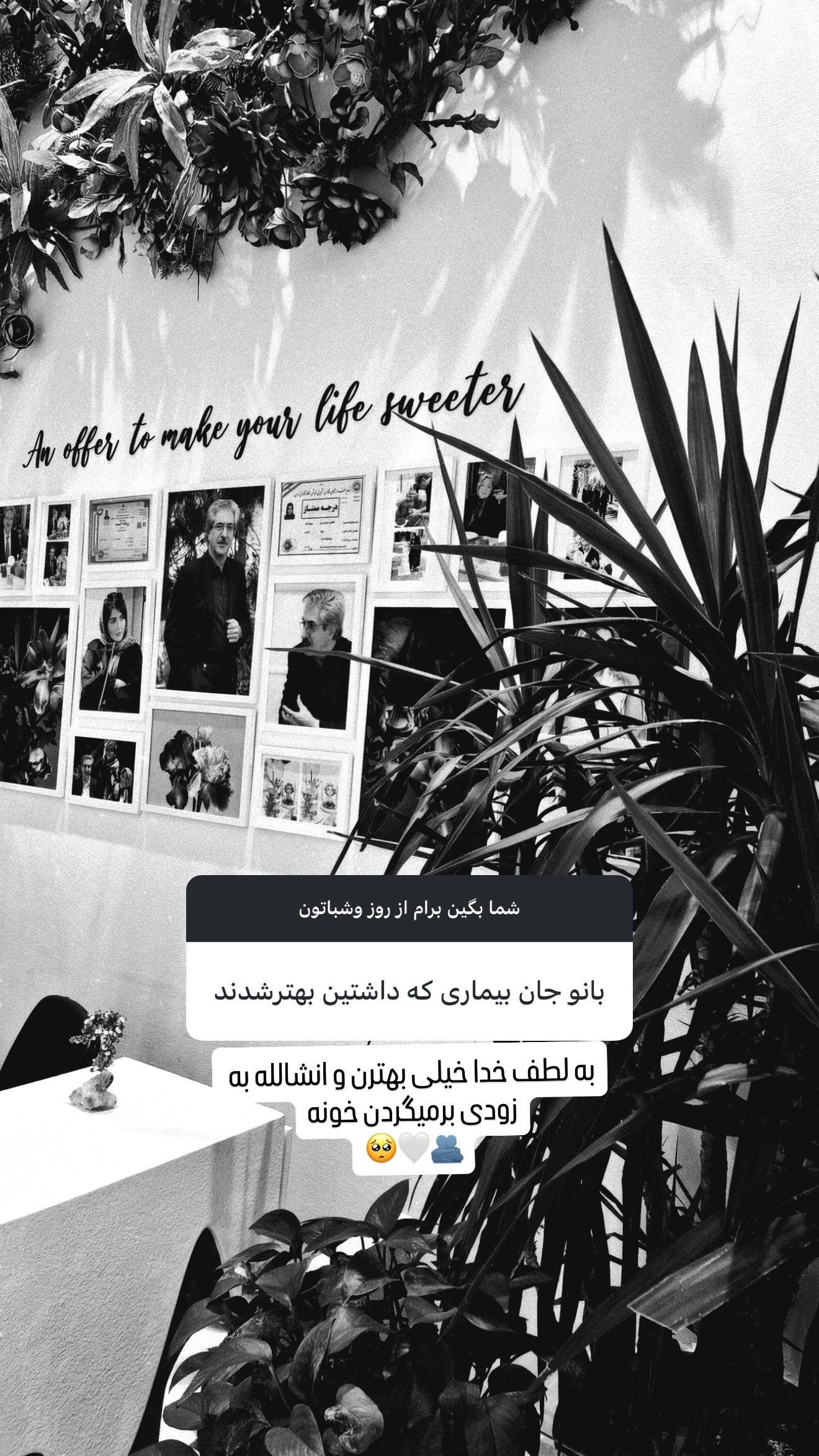  جدید ترین استوری اینستاگرام شیوا نصرتی