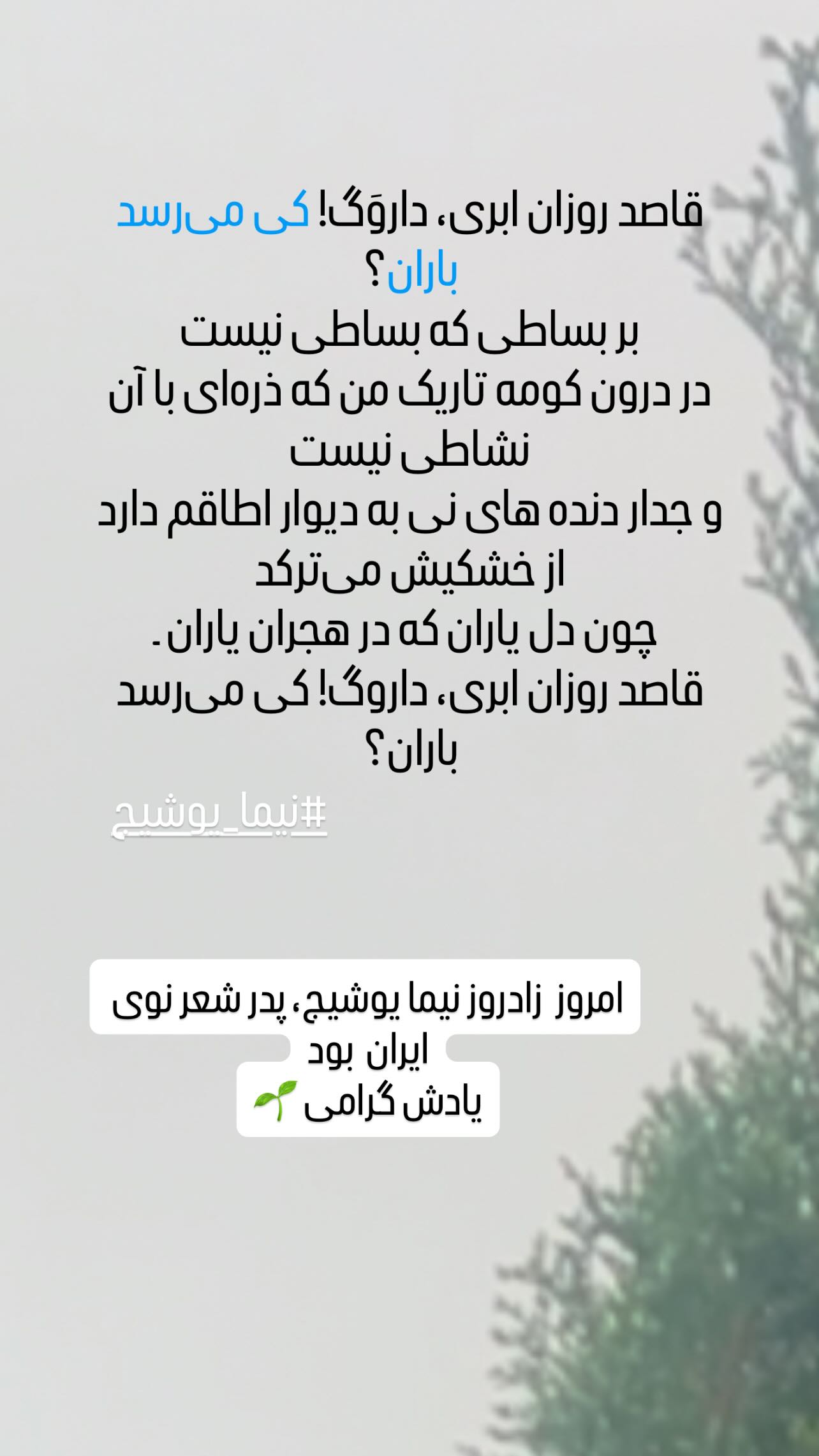  جدید ترین استوری اینستاگرام شعله رزمجو