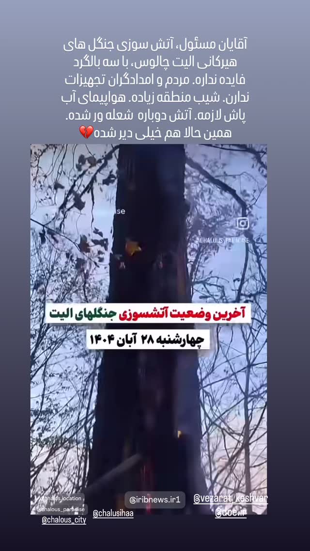  جدید ترین استوری اینستاگرام شعله رزمجو