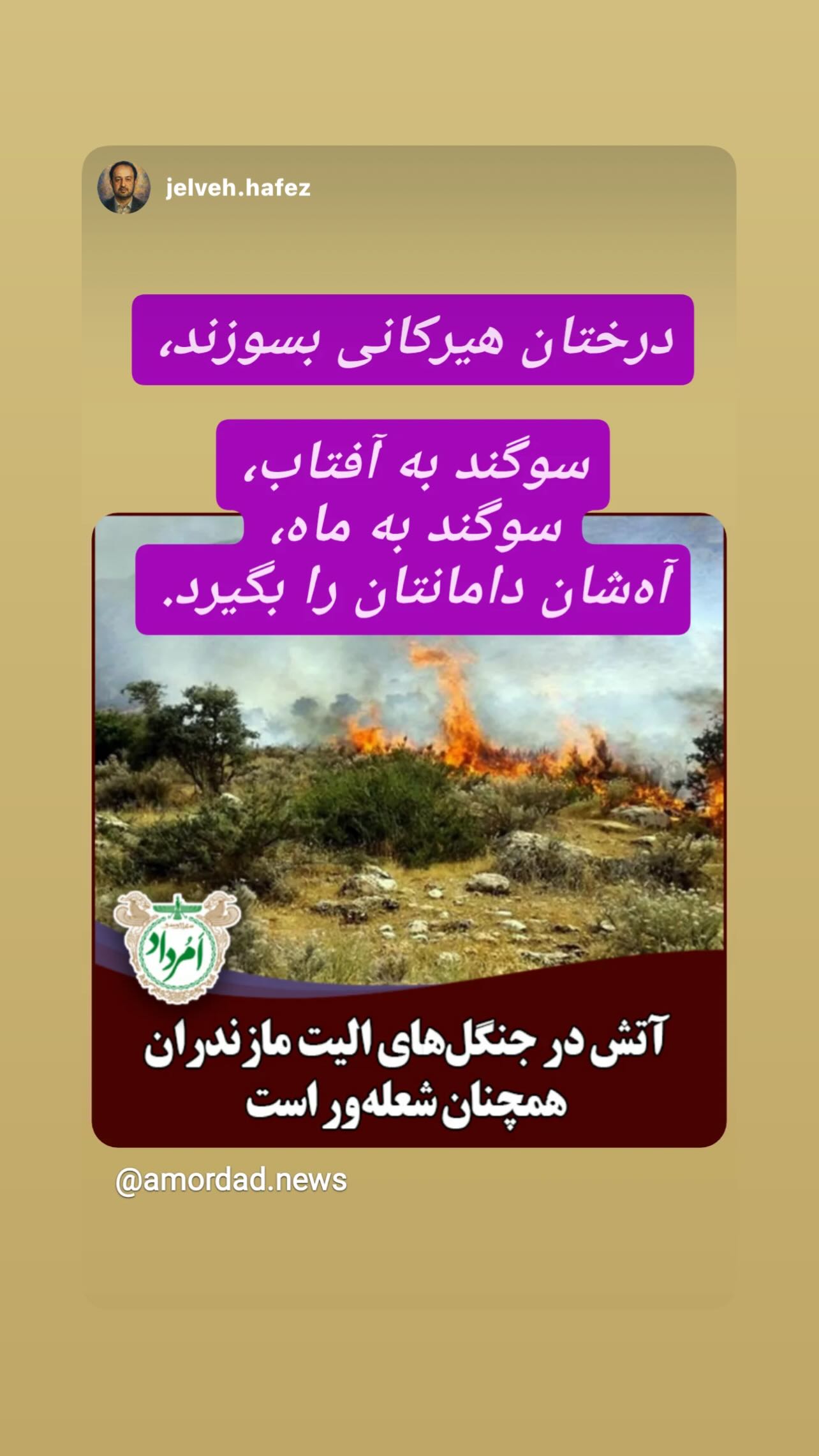  جدید ترین استوری اینستاگرام شعله رزمجو