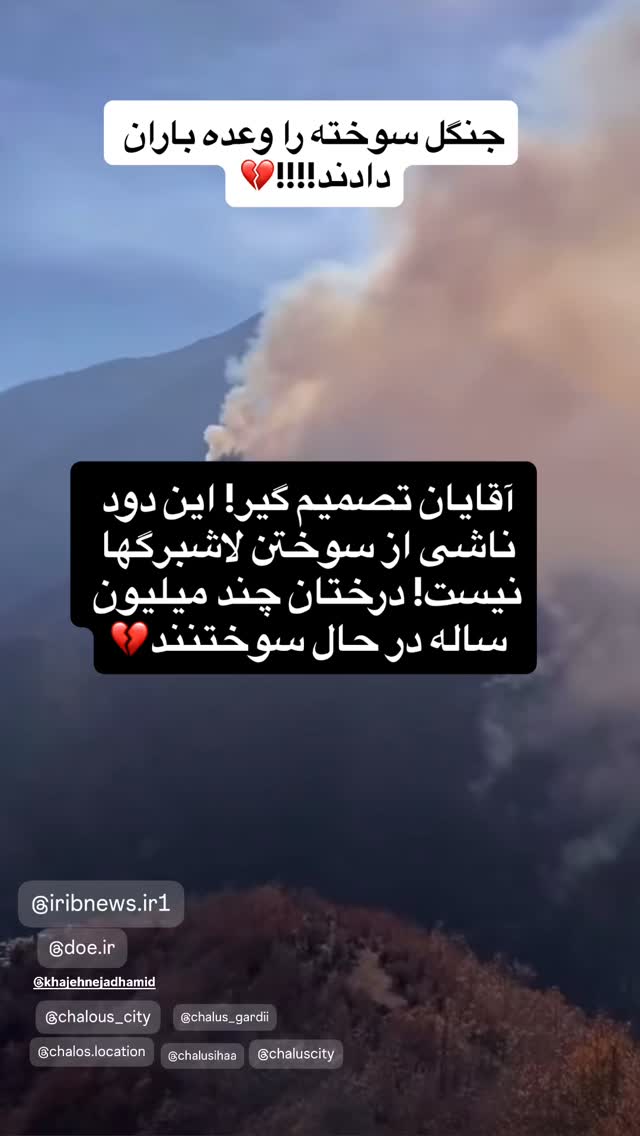  جدید ترین استوری اینستاگرام شعله رزمجو