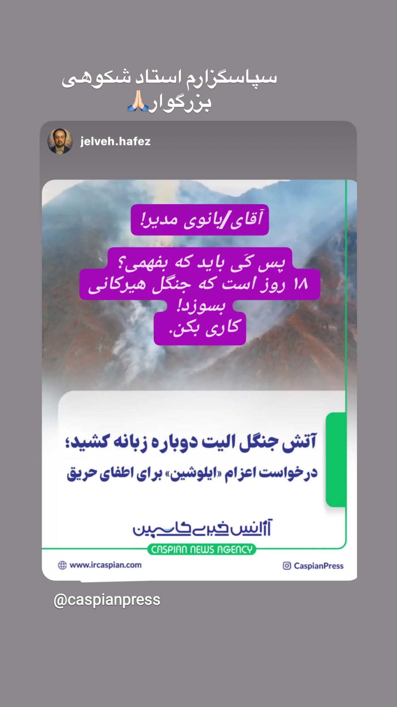  جدید ترین استوری اینستاگرام شعله رزمجو
