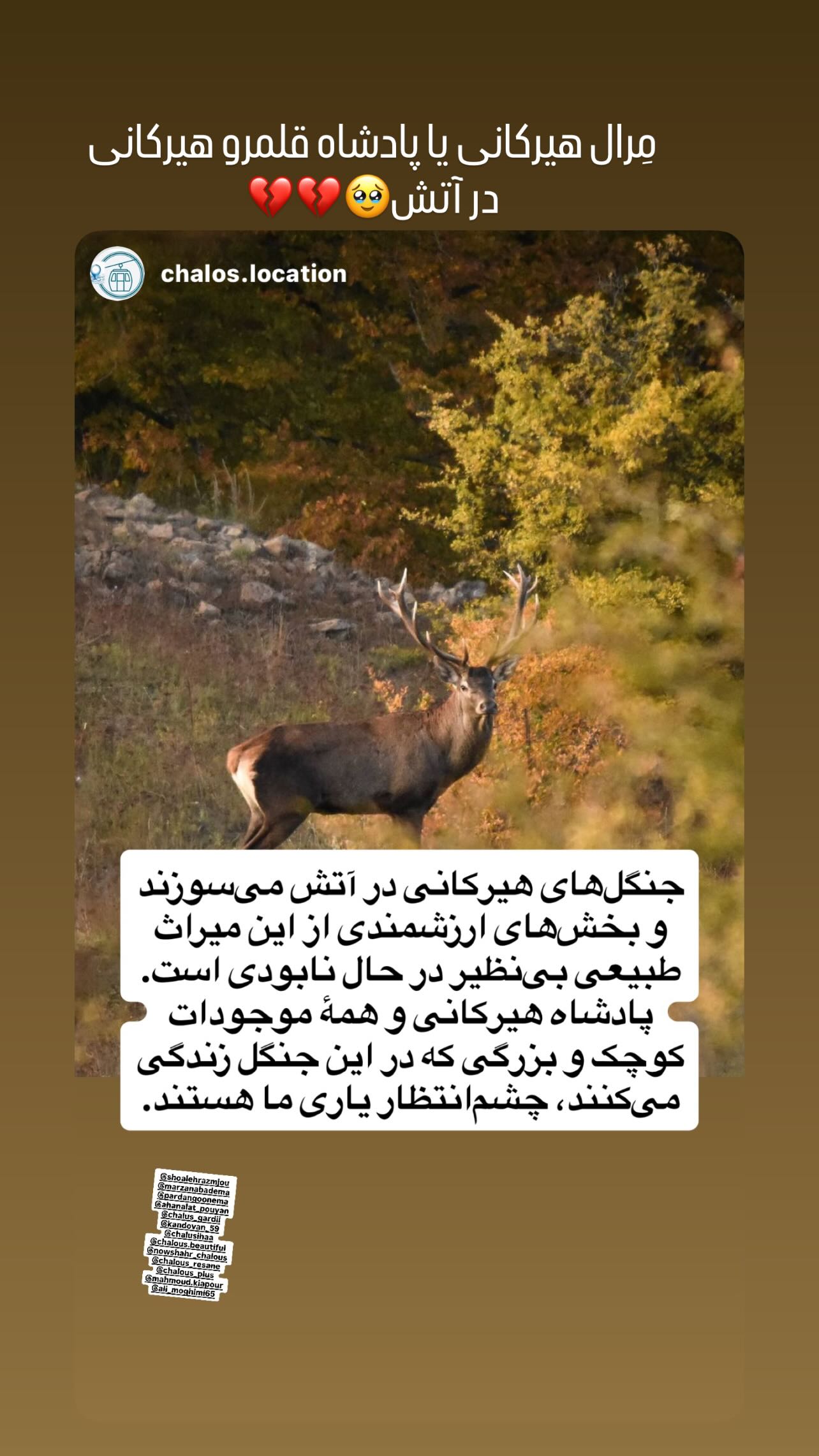  جدید ترین استوری اینستاگرام شعله رزمجو