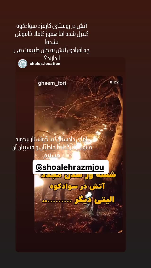  جدید ترین استوری اینستاگرام شعله رزمجو