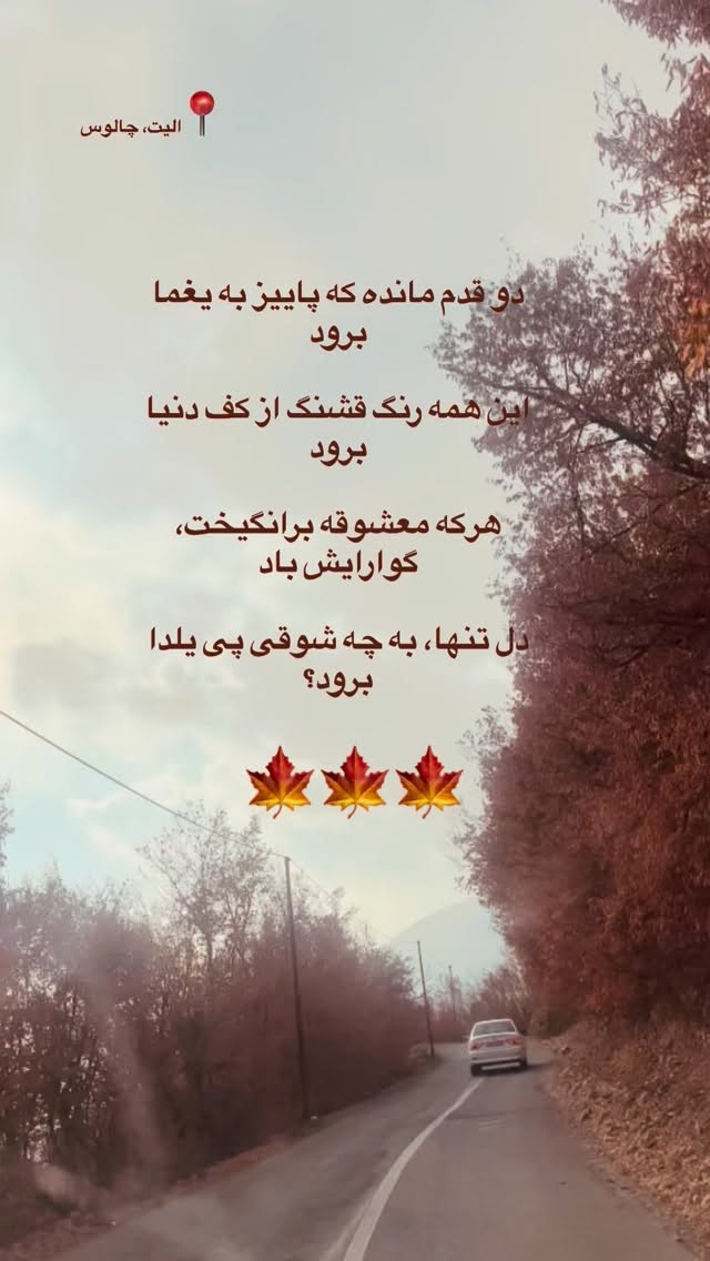  جدید ترین استوری اینستاگرام شعله رزمجو