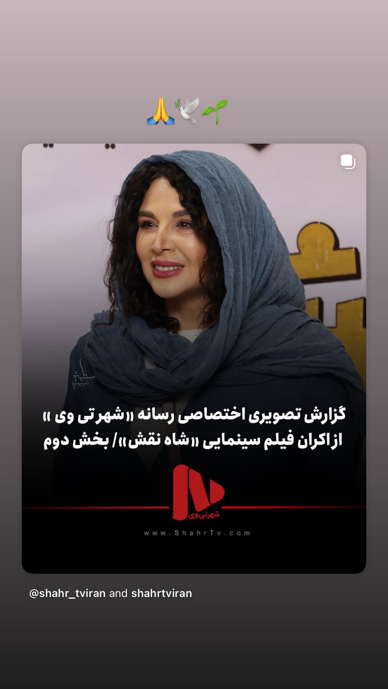  جدید ترین استوری اینستاگرام شهره سلطانی