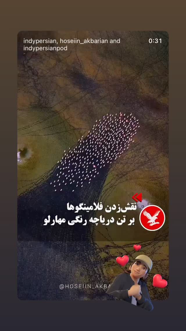  جدید ترین استوری اینستاگرام شهره سلطانی