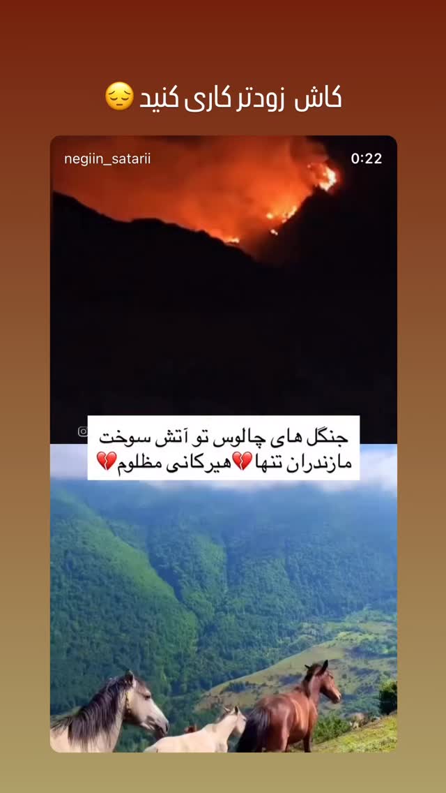  جدید ترین استوری اینستاگرام شهره سلطانی