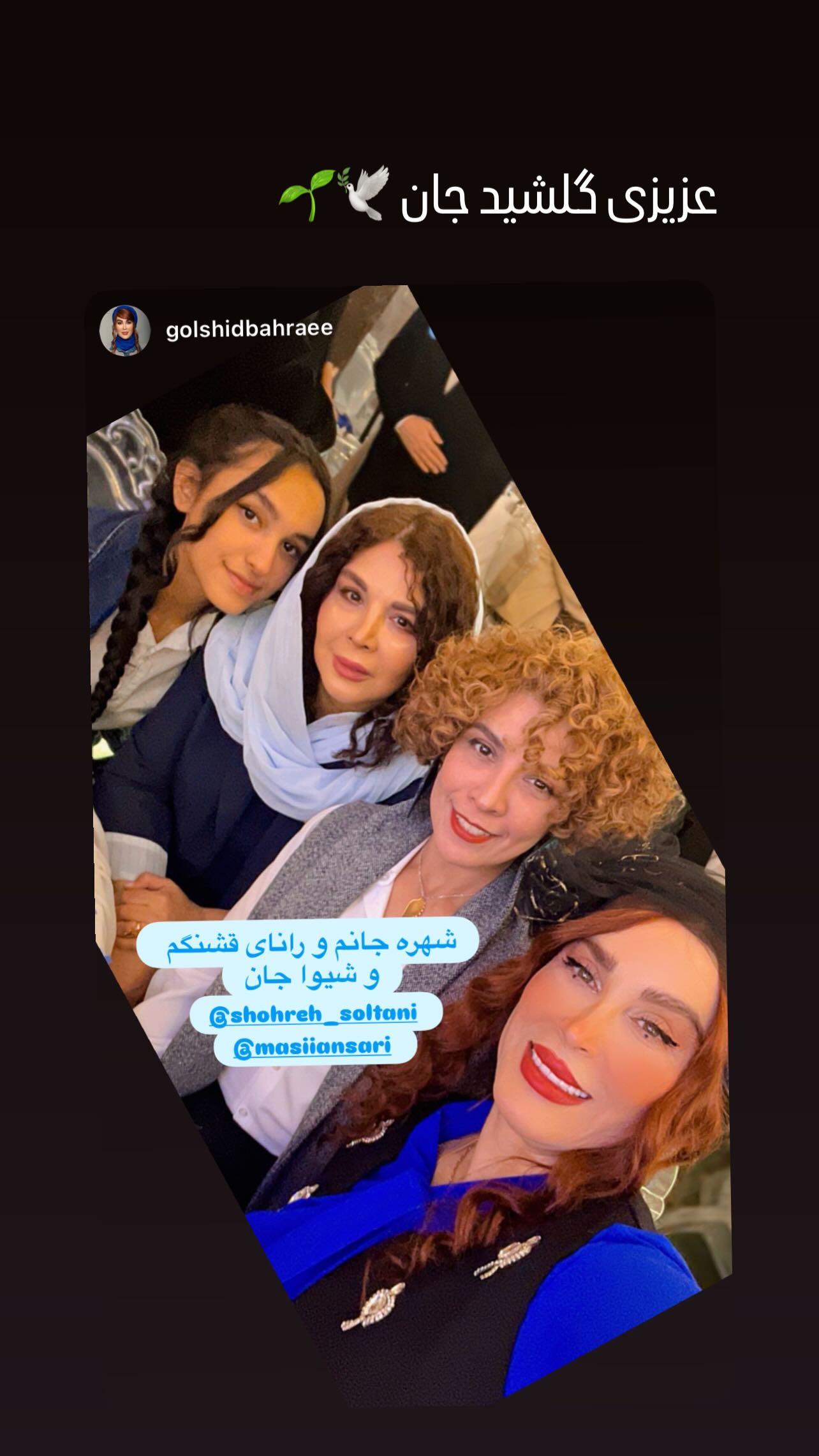  جدید ترین استوری اینستاگرام شهره سلطانی