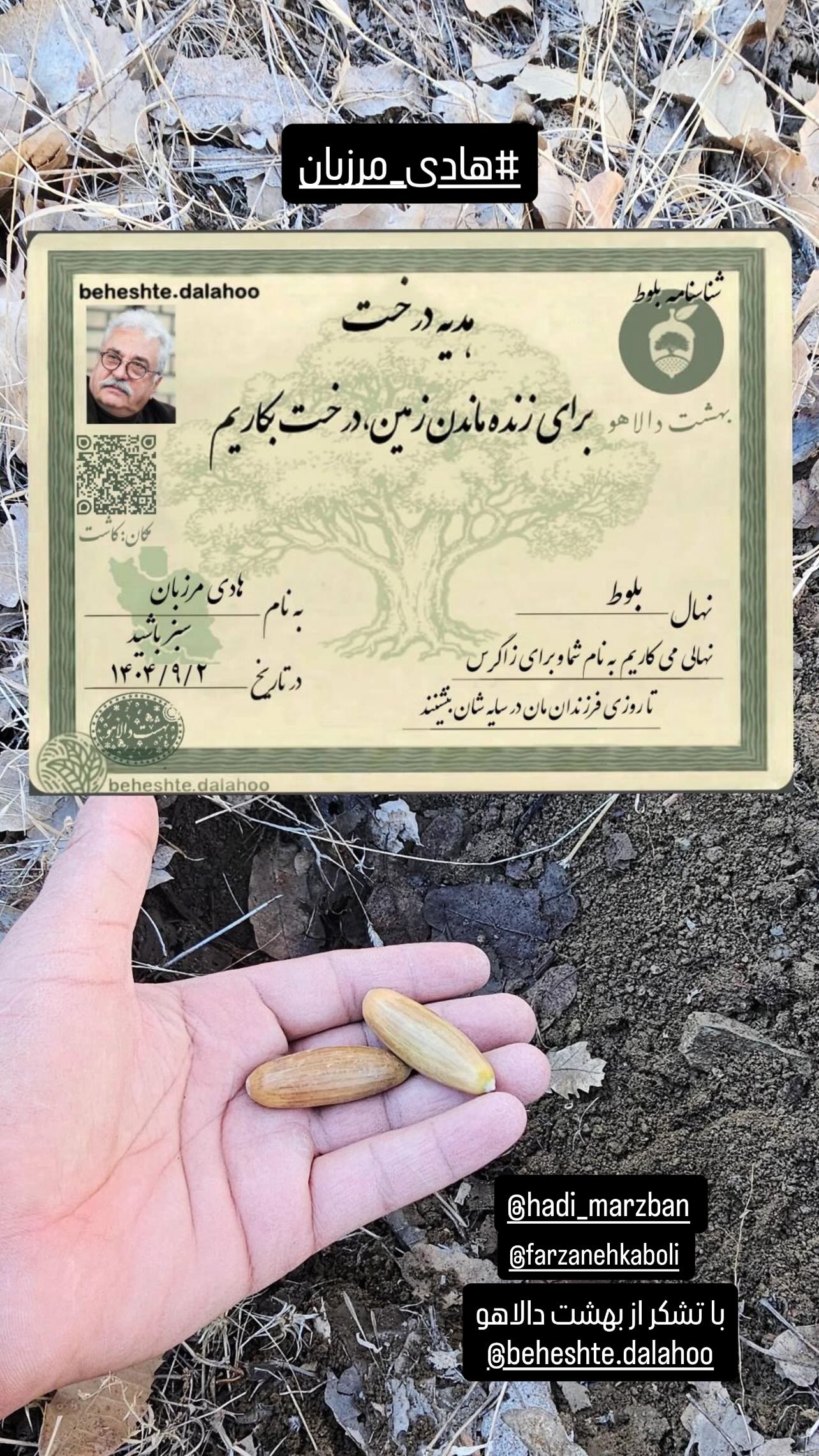  جدید ترین استوری اینستاگرام شهره سلطانی
