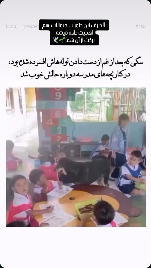 جدید ترین استوری اینستاگرام شهره سلطانی
