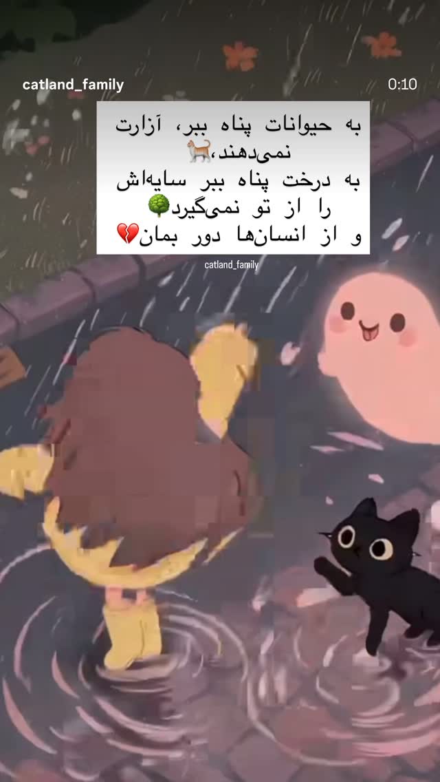  جدید ترین استوری اینستاگرام شهره سلطانی