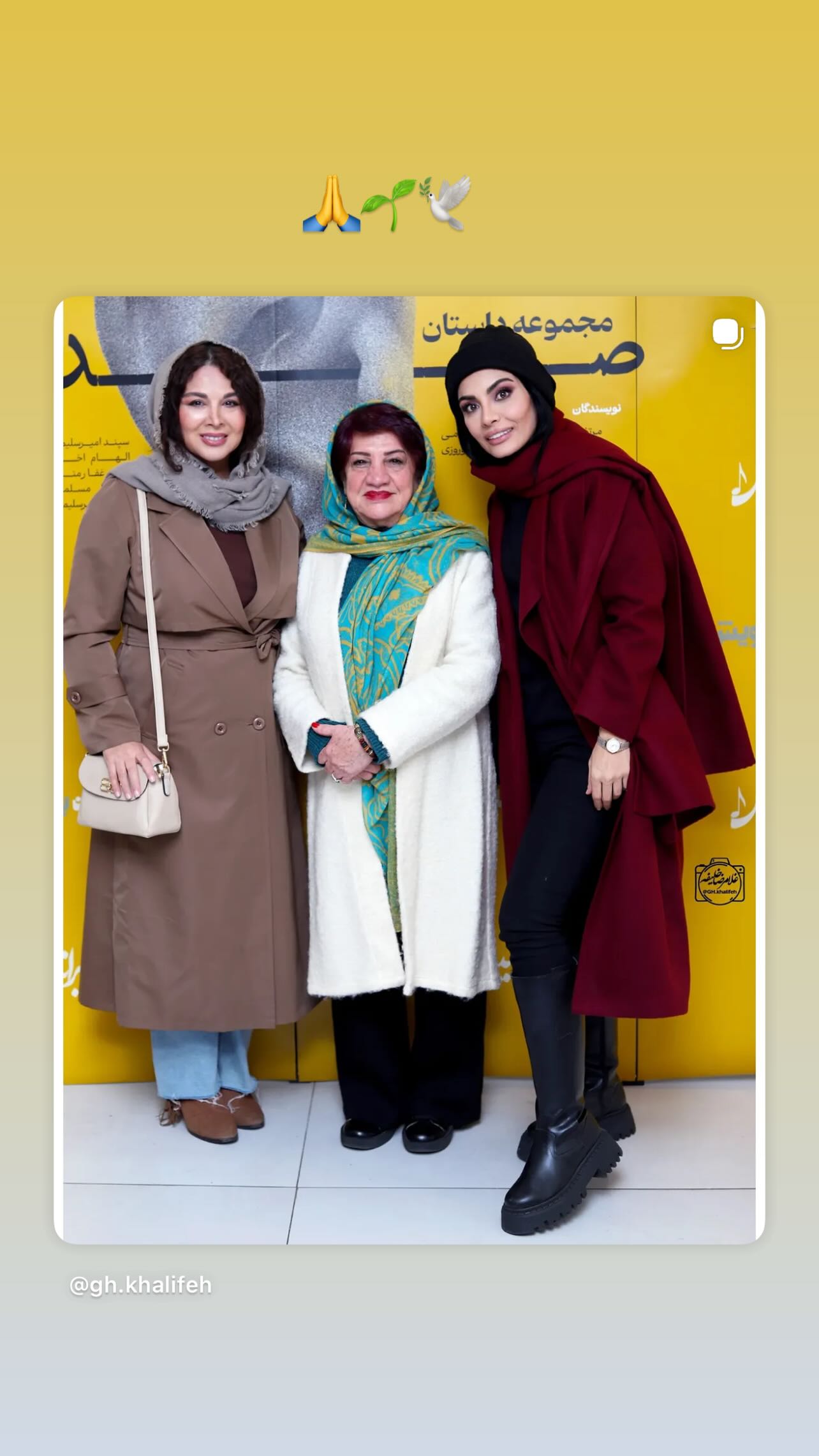  جدید ترین استوری اینستاگرام شهره سلطانی