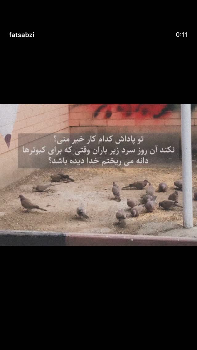 جدید ترین استوری اینستاگرام شهره سلطانی