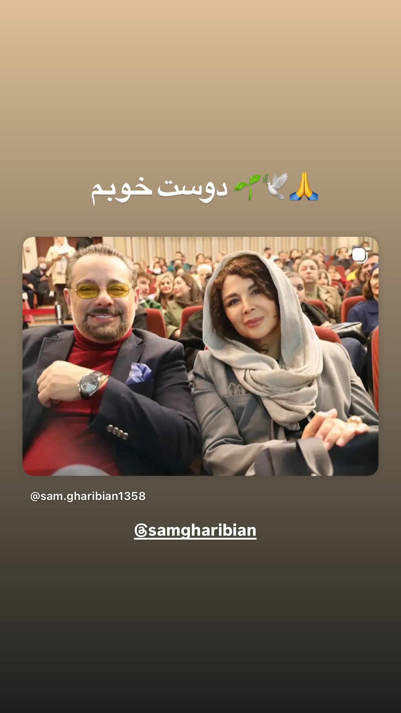  جدید ترین استوری اینستاگرام شهره سلطانی