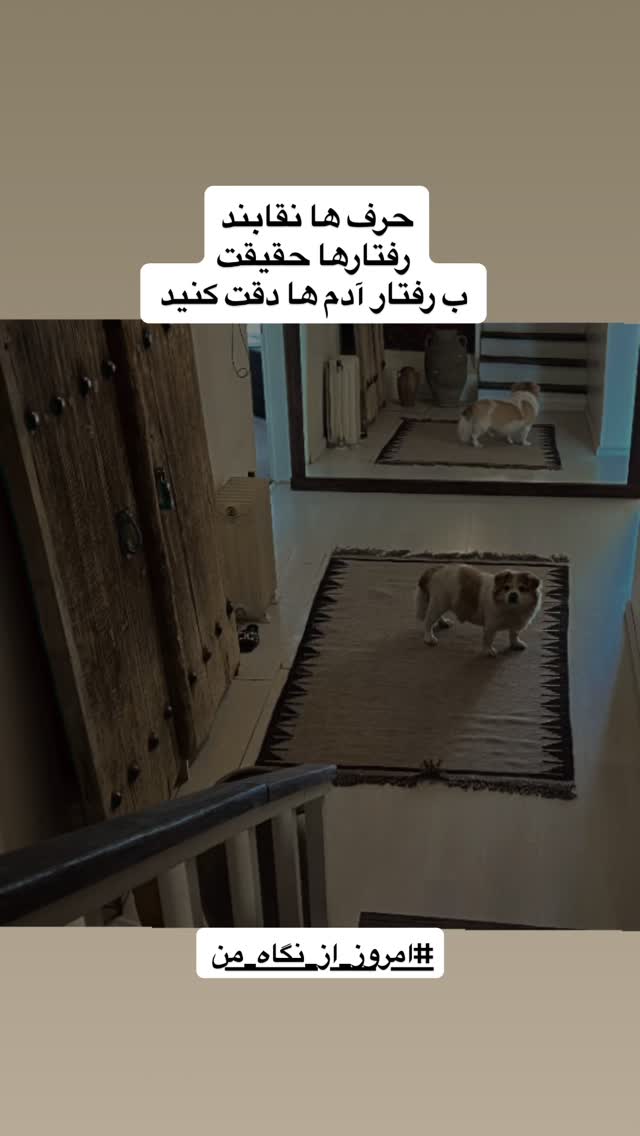  جدید ترین استوری اینستاگرام شهره سلطانی