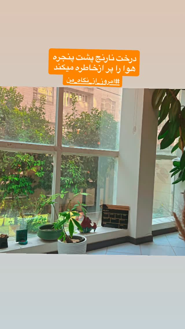  جدید ترین استوری اینستاگرام شهره سلطانی
