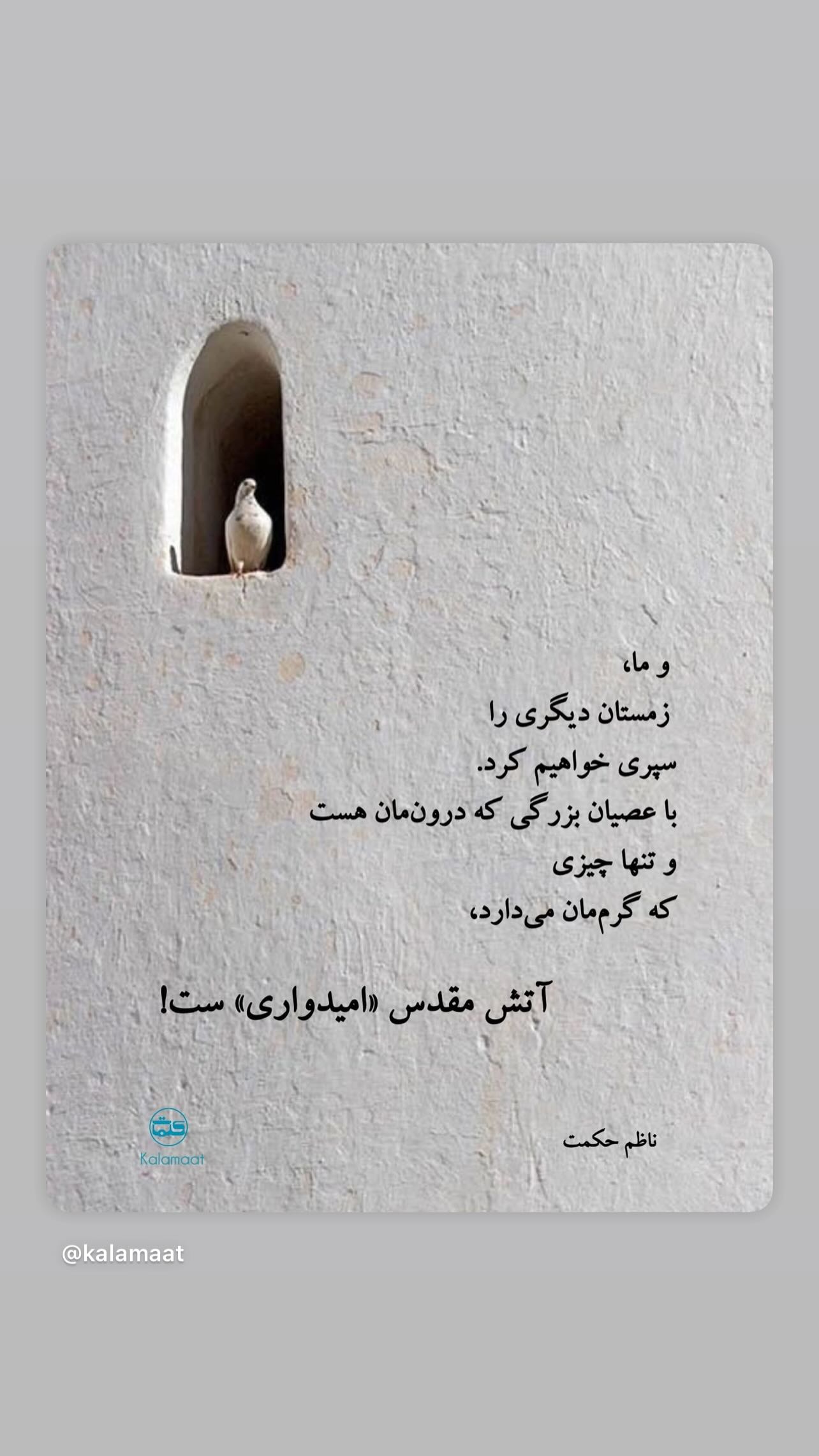  جدید ترین استوری اینستاگرام شهره سلطانی