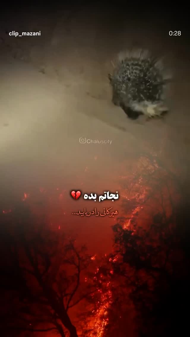  جدید ترین استوری اینستاگرام شجاع خلیل زاده