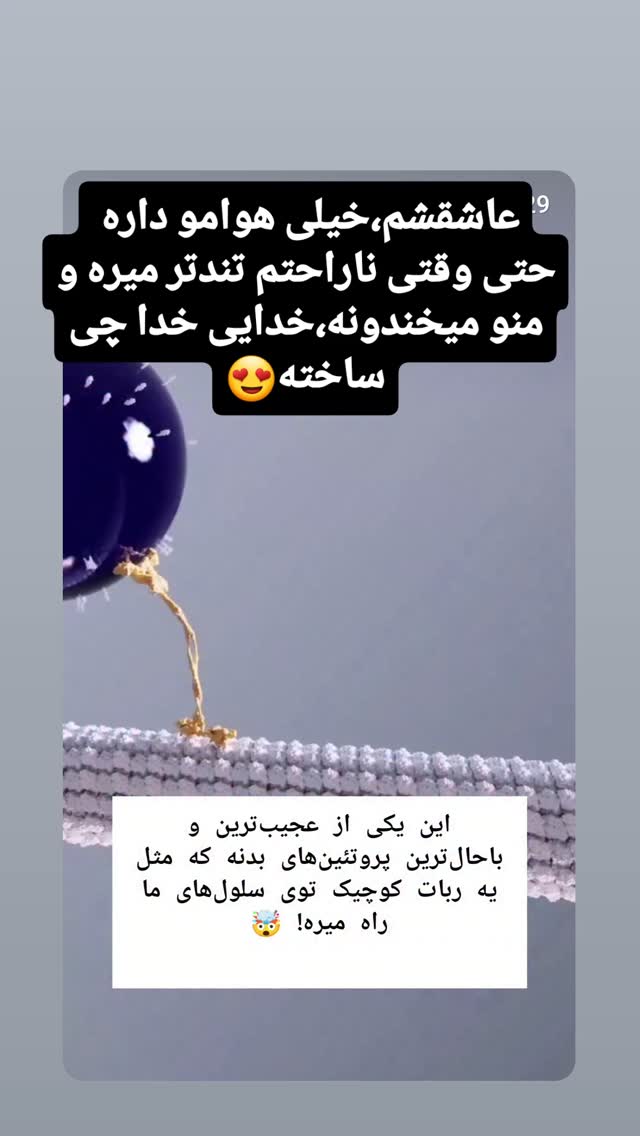  جدید ترین استوری اینستاگرام شوکت حجت