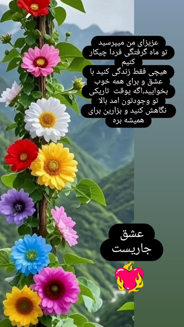  جدید ترین استوری اینستاگرام شوکت حجت
