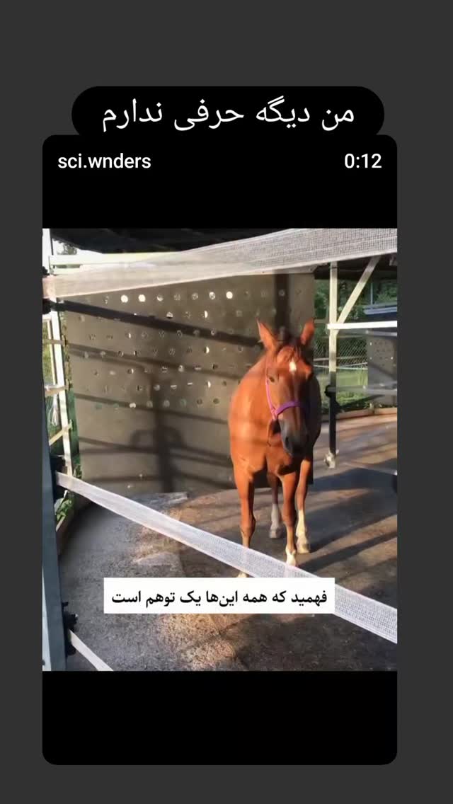  جدید ترین استوری اینستاگرام شوکت حجت