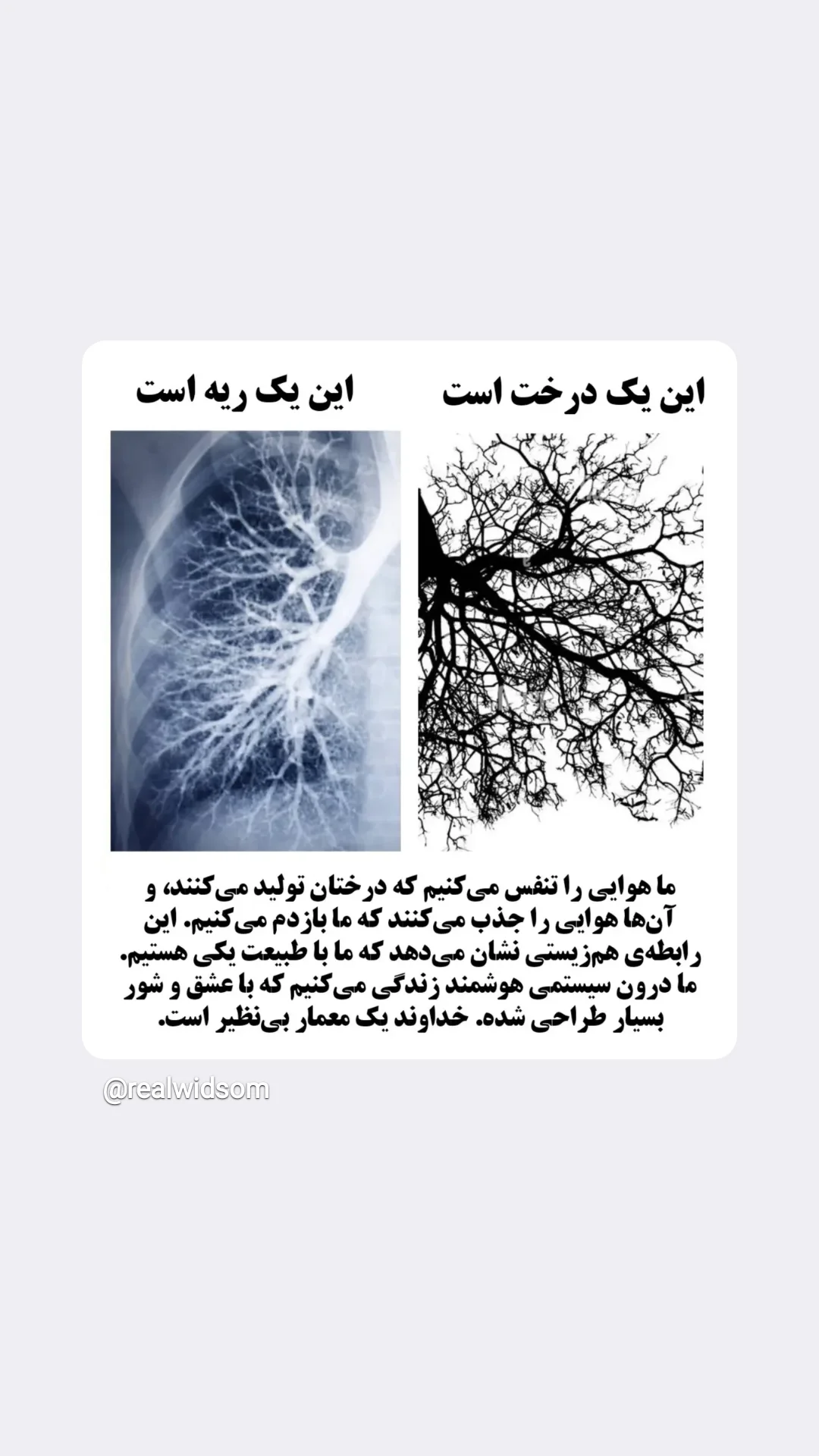  جدید ترین استوری اینستاگرام شوکت حجت