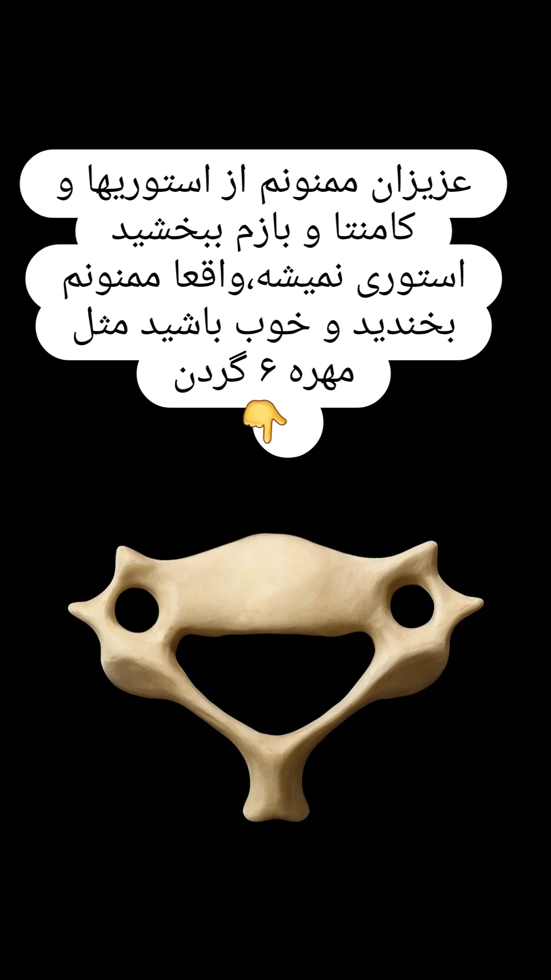  جدید ترین استوری اینستاگرام شوکت حجت