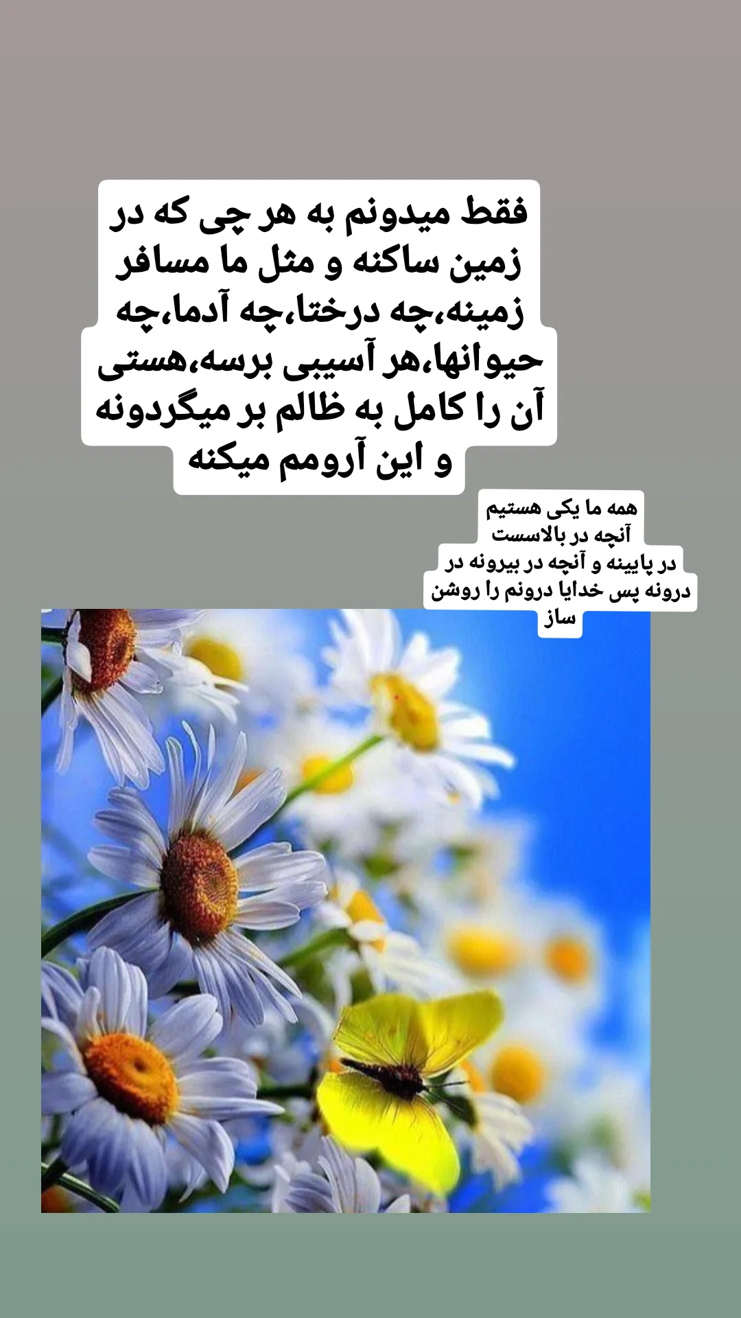  جدید ترین استوری اینستاگرام شوکت حجت
