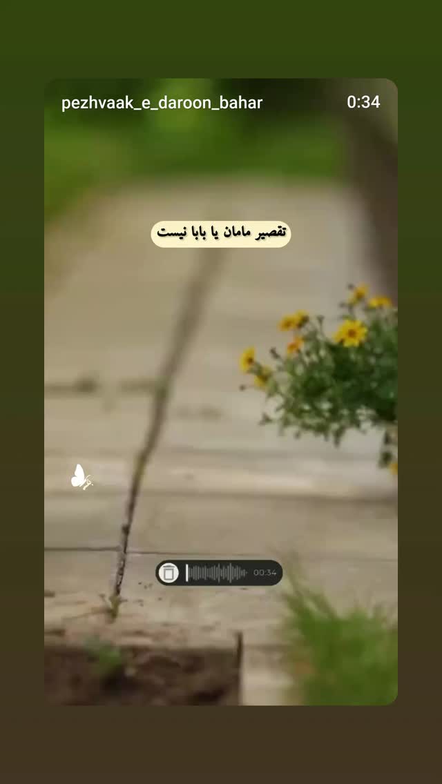  جدید ترین استوری اینستاگرام شوکت حجت