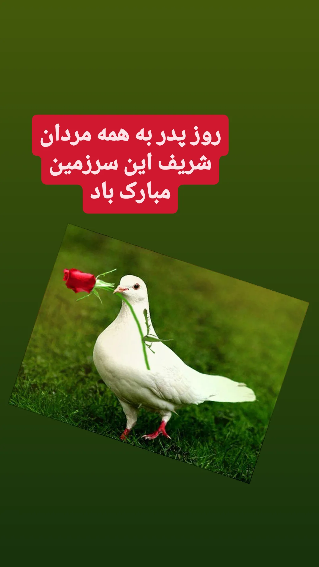  جدید ترین استوری اینستاگرام شوکت حجت
