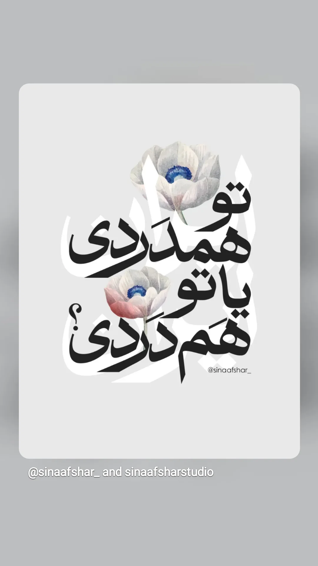  جدید ترین استوری اینستاگرام شوکت حجت