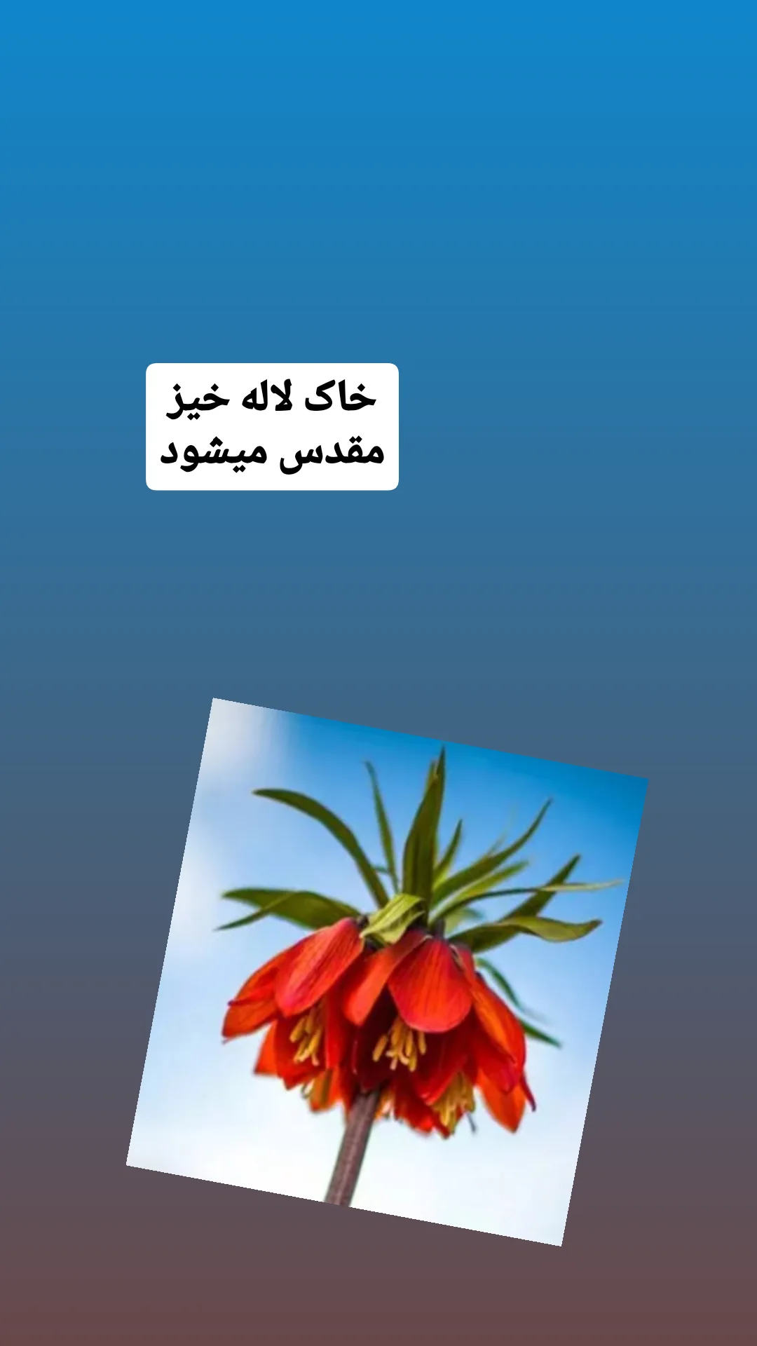  جدید ترین استوری اینستاگرام شوکت حجت