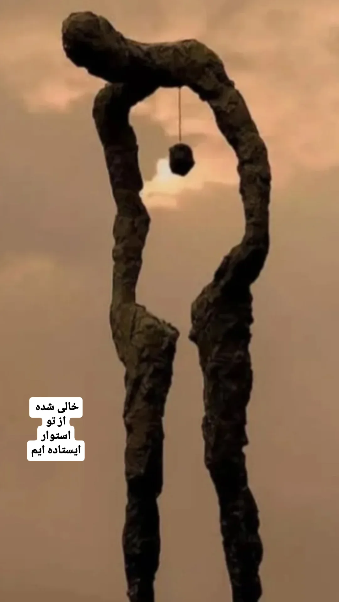 جدید ترین استوری اینستاگرام شوکت حجت