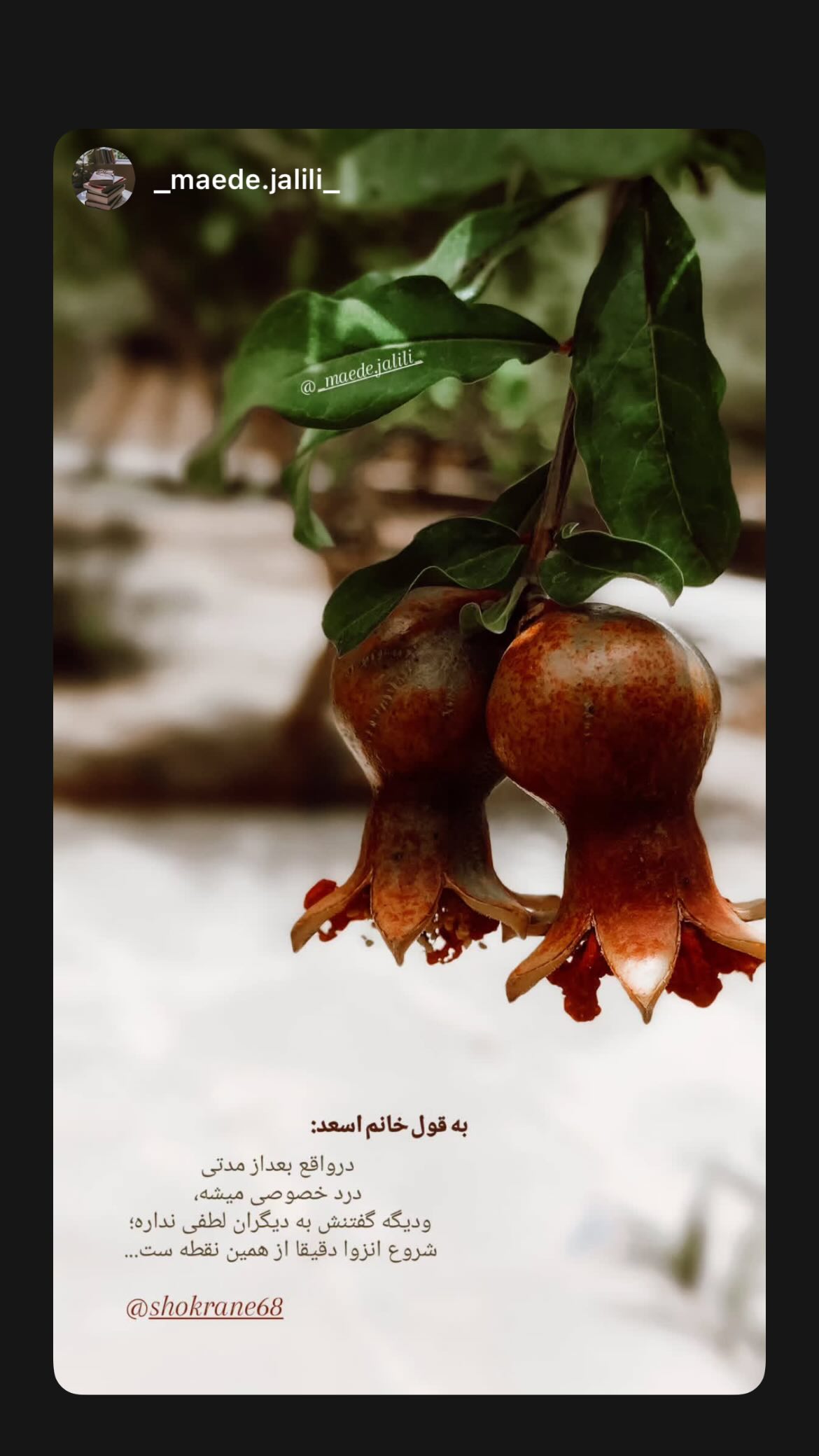  جدید ترین استوری اینستاگرام زهرا اسعد