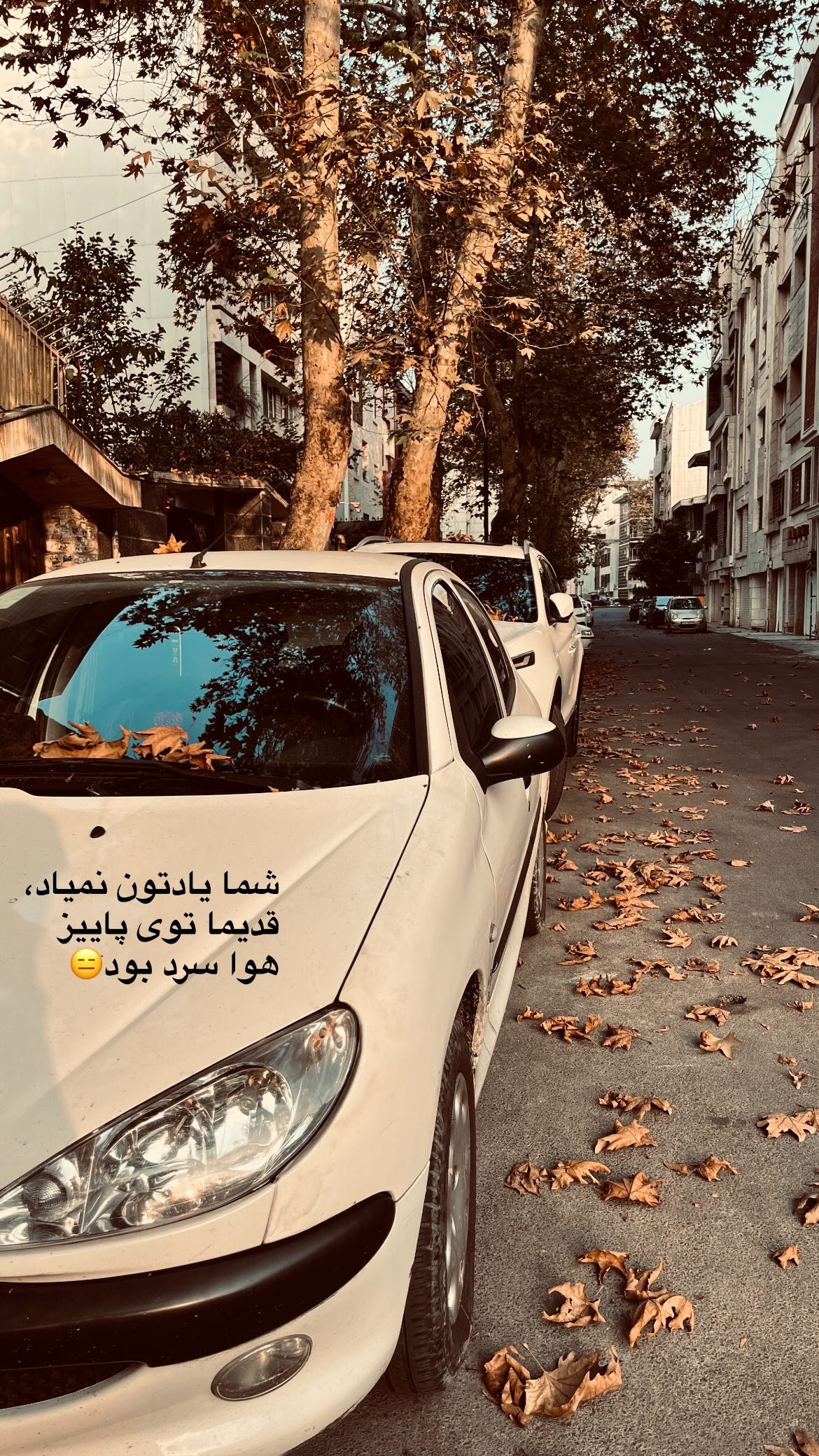  جدید ترین استوری اینستاگرام زهرا اسعد