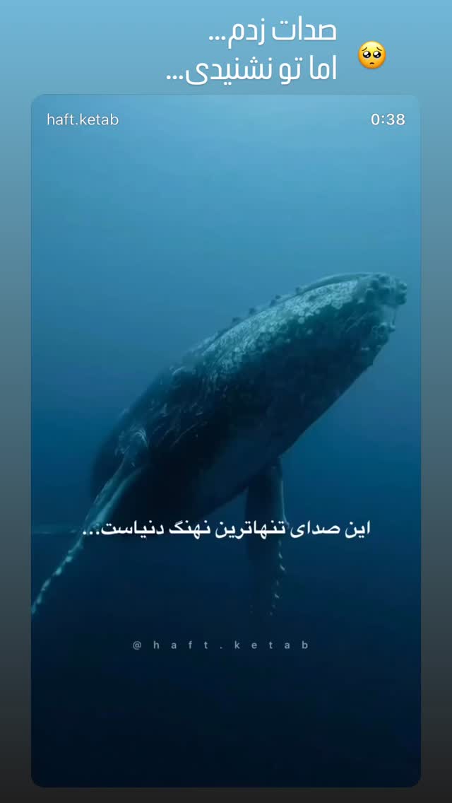  جدید ترین استوری اینستاگرام شکوفه عزیزی