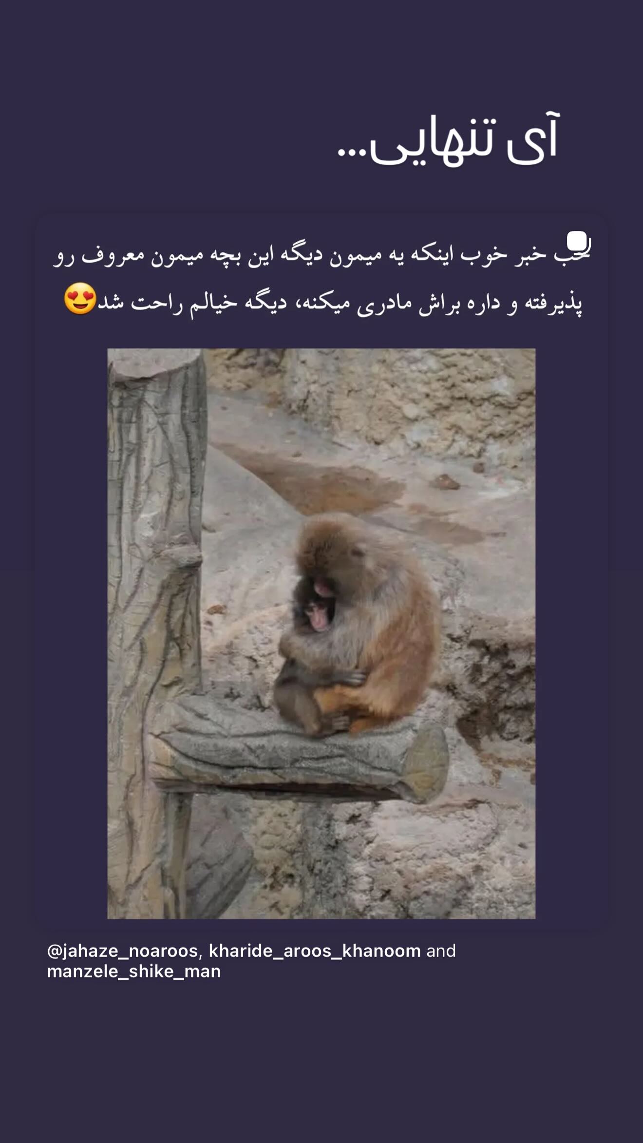  جدید ترین استوری اینستاگرام شکوفه عزیزی