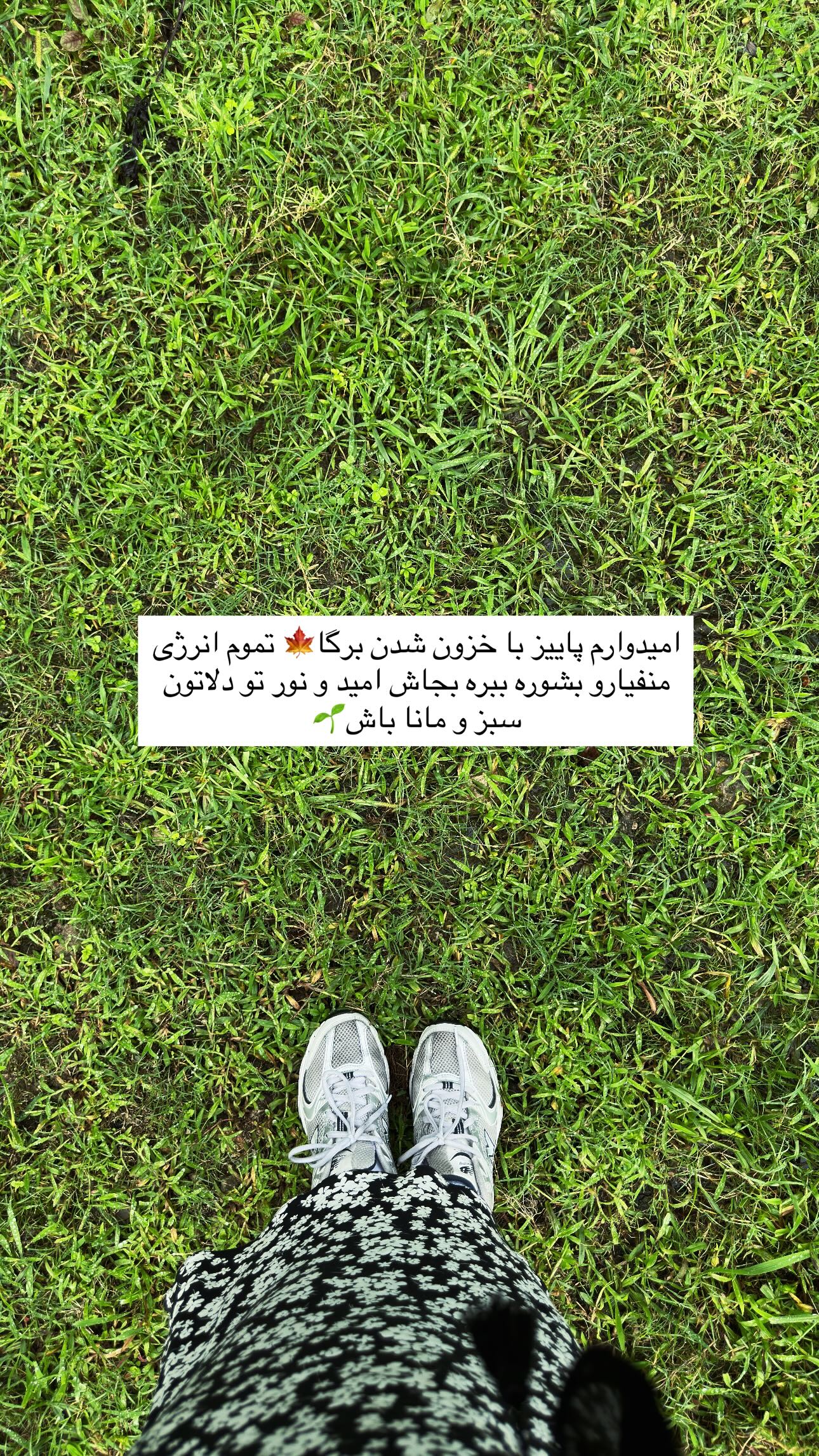  جدید ترین استوری اینستاگرام شوکا دولت شاهی