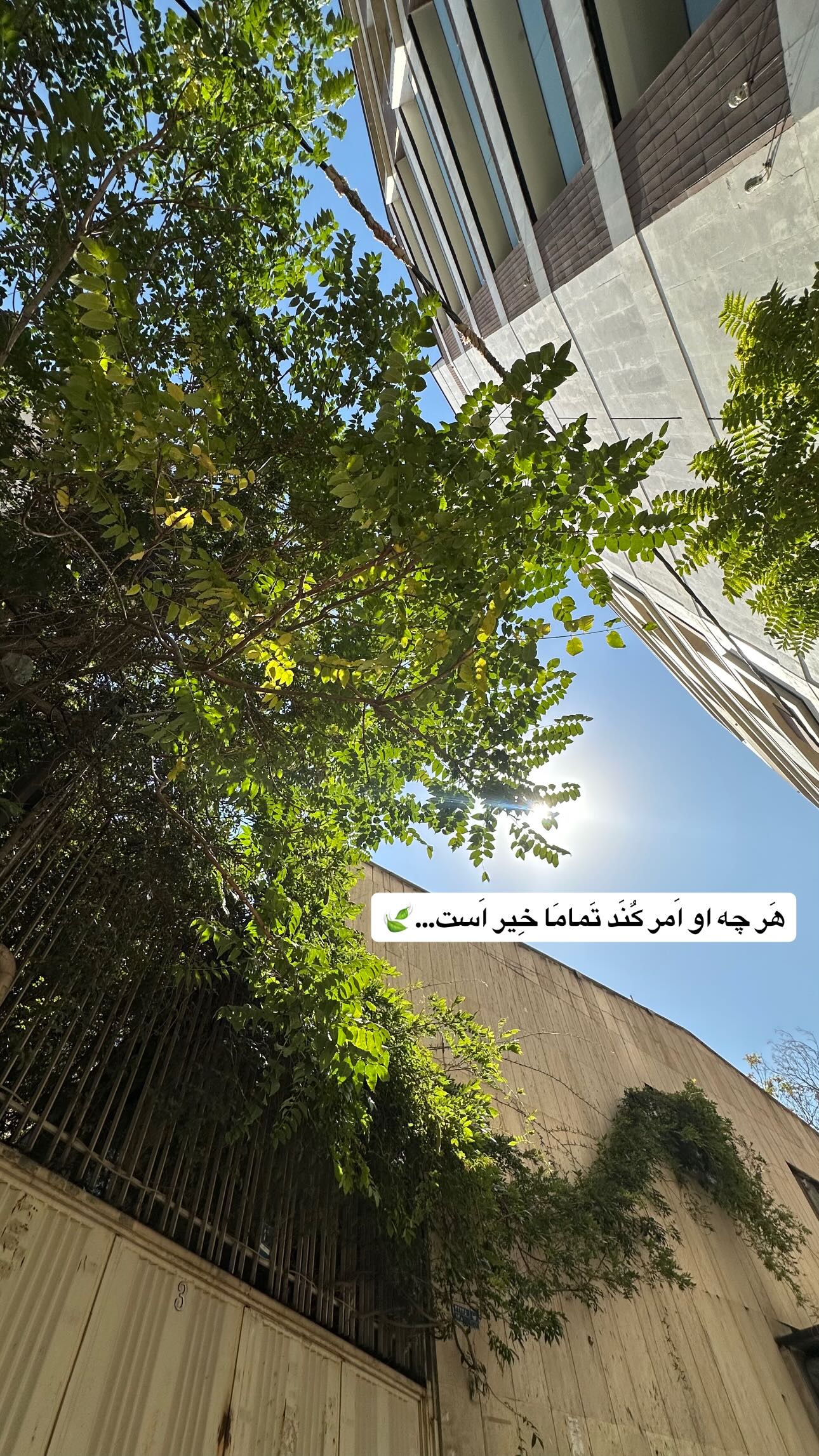  جدید ترین استوری اینستاگرام شوکا دولت شاهی