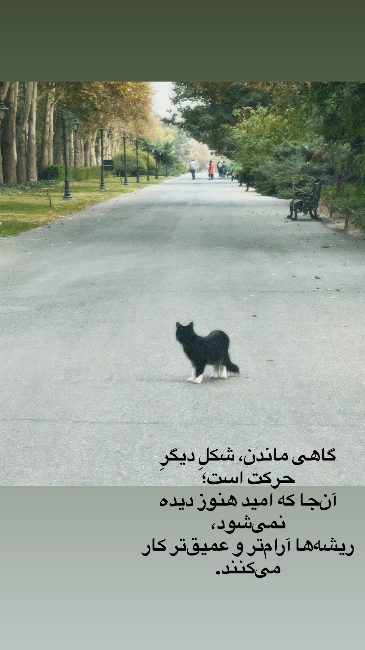  جدید ترین استوری اینستاگرام سیامک احمدی