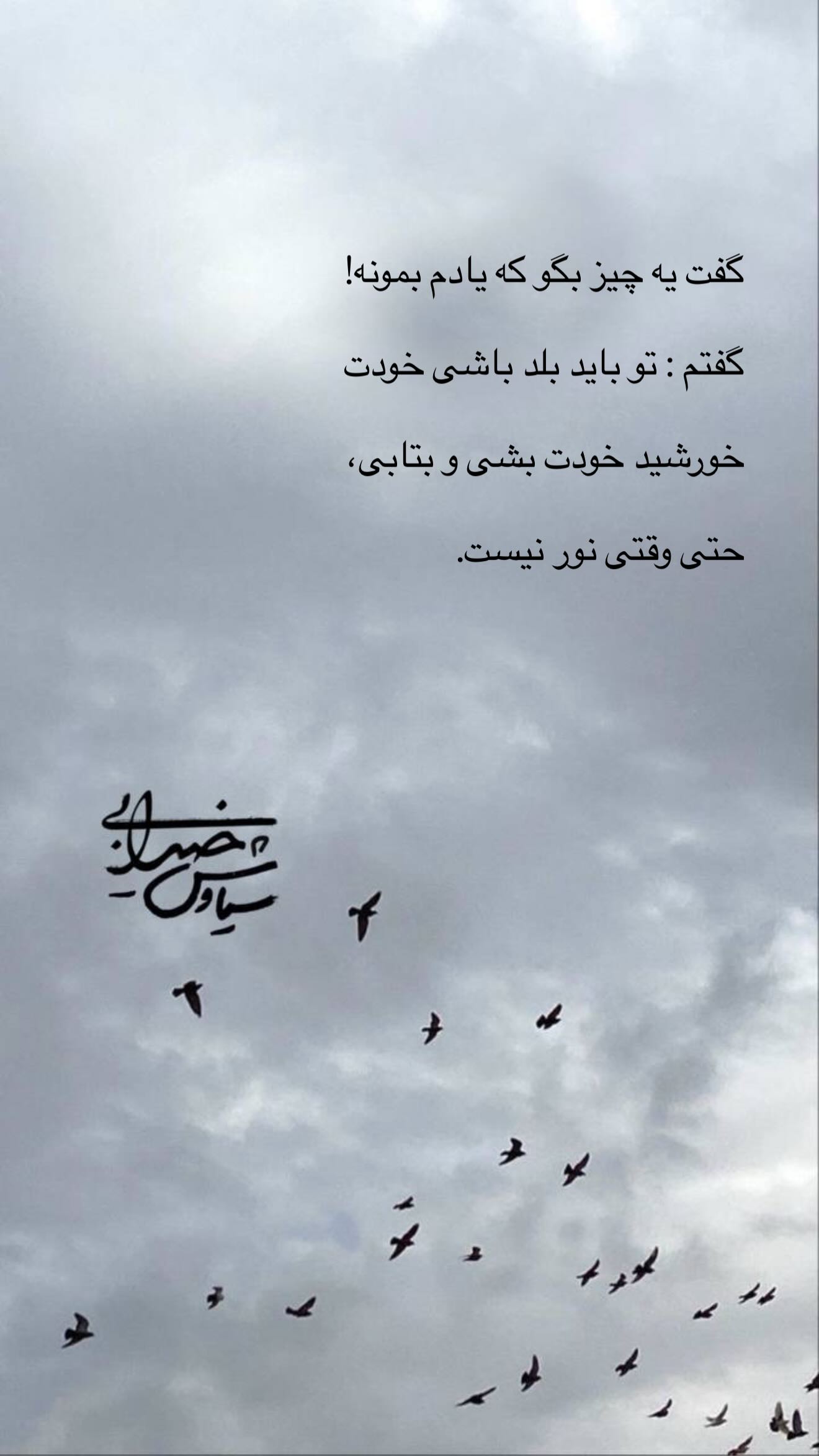  جدید ترین استوری اینستاگرام سیاوش خیرابی